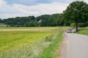 Florida Collision Insurance Coverage 